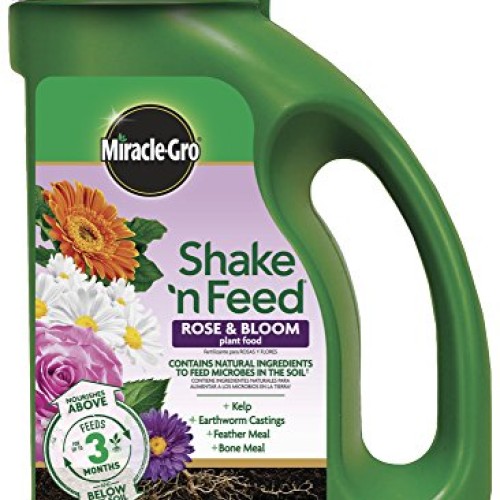 Miracle-Gro Shake N Feed Rose & Bloom Plant Food, 4.5 lb.