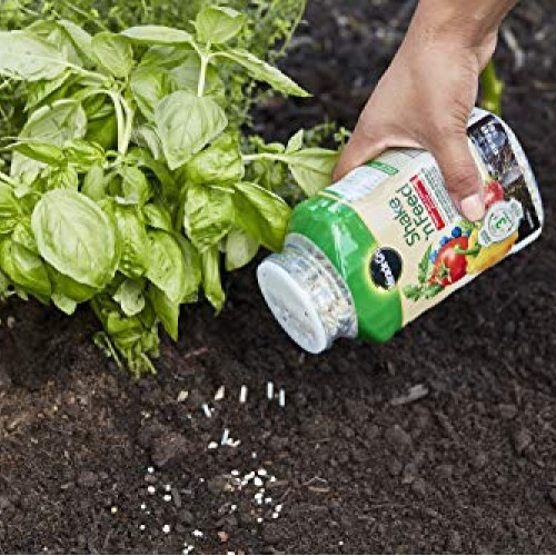 Miracle-Gro Shake N Feed Tomato, Fruit & Vegetable Plant Food, 1 lb.