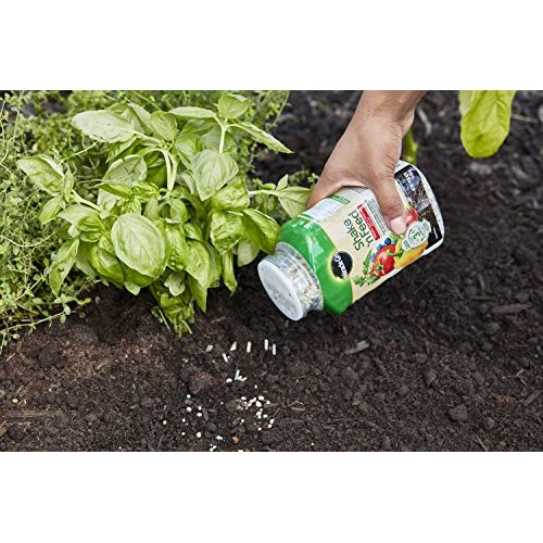 Miracle-Gro Shake N Feed Tomato, Fruit & Vegetable Plant Food, 1 lb.