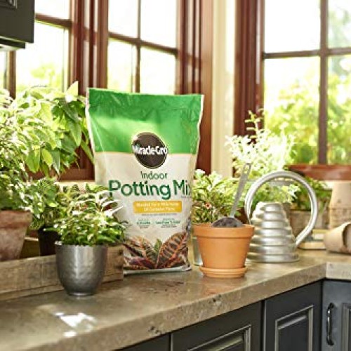 Miracle-Gro VB300517 Indoor Potting Mix, 6 Qt, 2 Pack
