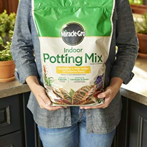Miracle-Gro VB300517 Indoor Potting Mix, 6 Qt, 2 Pack