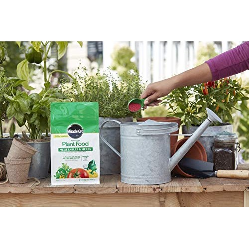 Miracle-Gro Water Soluble Plant Food Vegetables and Herbs, 2 lb.