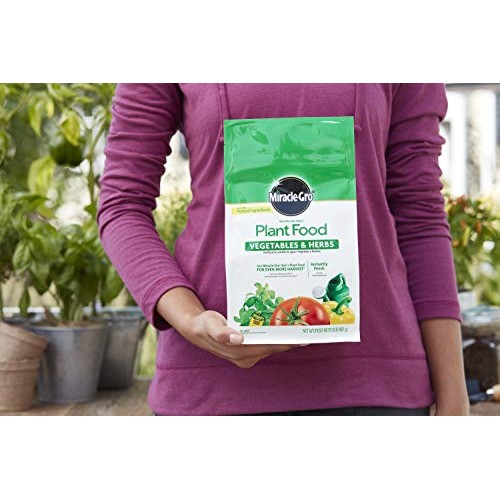 Miracle-Gro Water Soluble Plant Food Vegetables and Herbs, 2 lb.