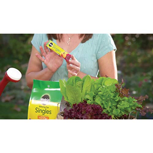 Miracle-Gro Watering Can Singles All Purpose Water Soluble Plant F...