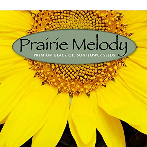 Prairie MelodyTM Premium Black Oil Sunflower Bird Seed, Pesticid...