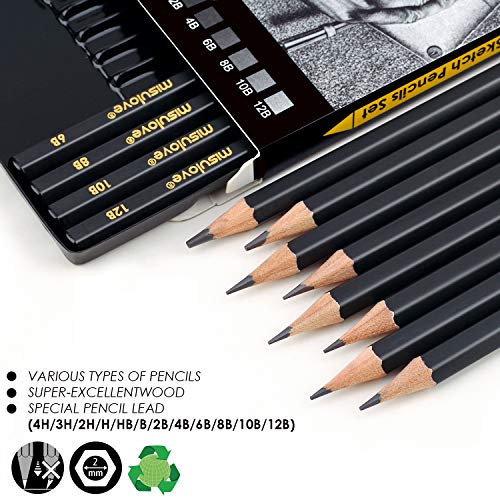 MISULOVE Professional Drawing Sketching Pencil Set - 12 Pieces Art...