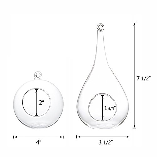 Mkono 2 Pack Glass Hanging Planter Air Plant Terrarium Home Decora...