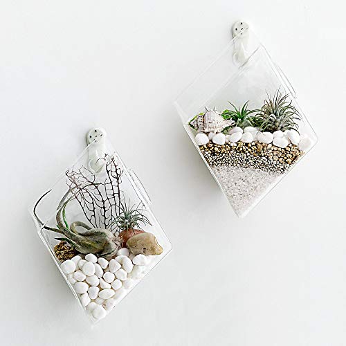 Mkono 2 Pack Wall Hanging Plant Terrarium Glass Planter for Home O...
