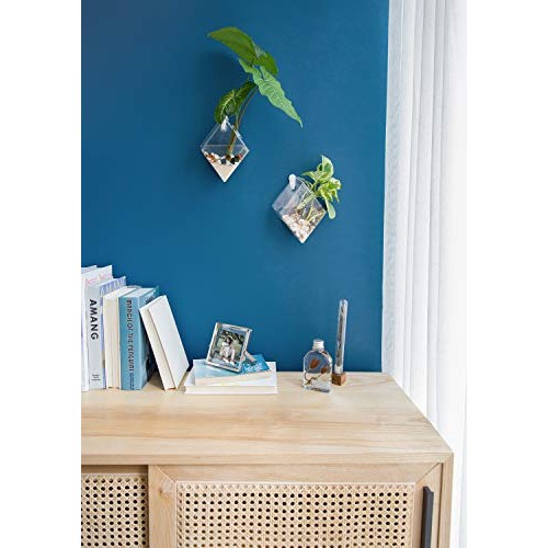 Mkono 2 Pack Wall Hanging Plant Terrarium Glass Planter for Home O...