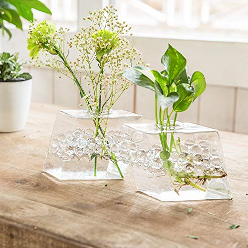 Mkono 2 Pack Wall Hanging Plant Terrarium Glass Planter for Home O...