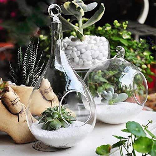 Mkono 3 Pack Glass Hanging Planter Air Fern Holder Terrarium Plant...