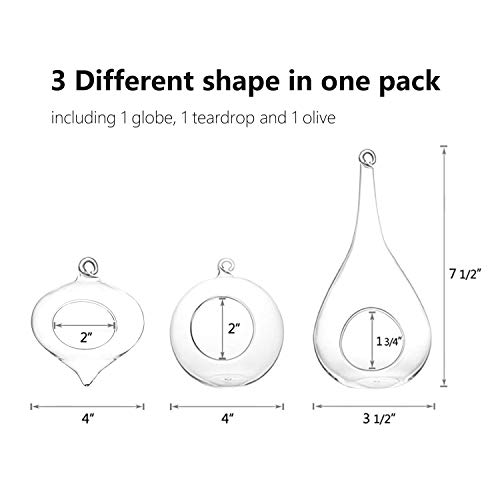 Mkono 3 Pack Glass Hanging Planter Air Fern Holder Terrarium Plant...