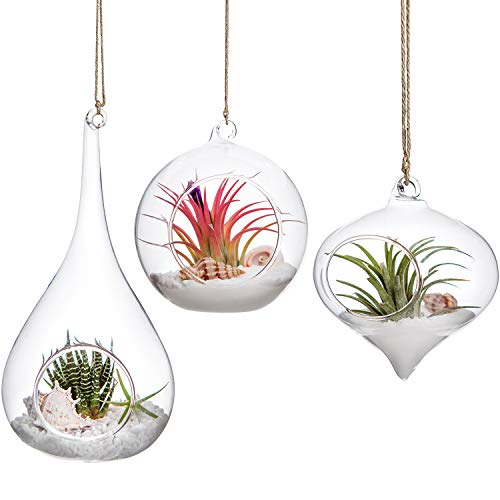 Mkono 3 Pack Glass Hanging Planter Air Fern Holder Terrarium Plant...