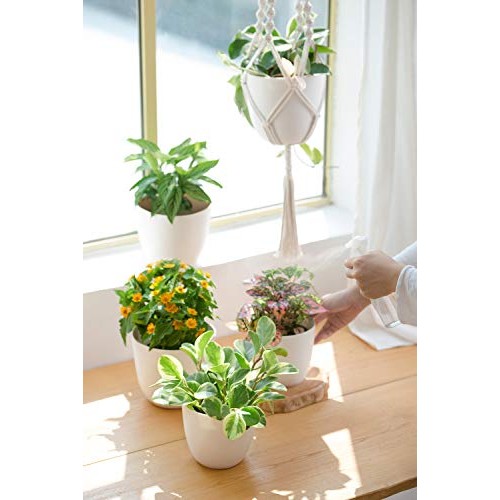 Mkono 3 Pack Macrame Plant Hangers with Plastic Planters Pots In...