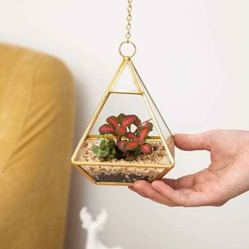 Mkono 3 Pcs Small Hanging Glass Terrarium Geometric Container Vert...