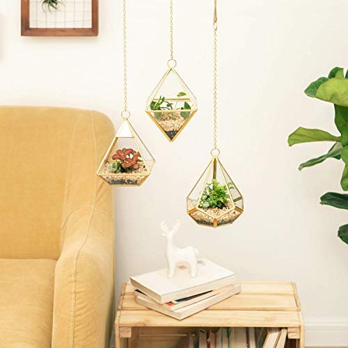 Mkono 3 Pcs Small Hanging Glass Terrarium Geometric Container Vert...