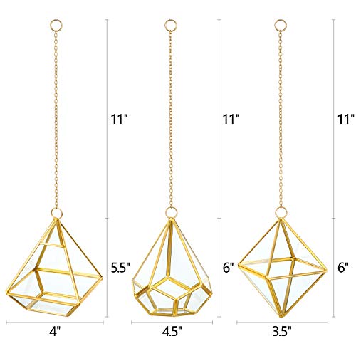 Mkono 3 Pcs Small Hanging Glass Terrarium Geometric Container Vert...