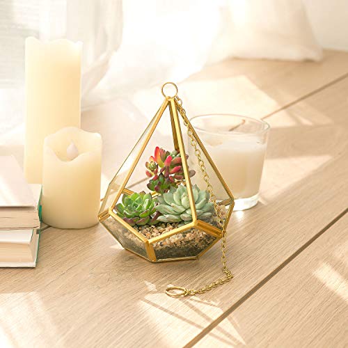 Mkono 3 Pcs Small Hanging Glass Terrarium Geometric Container Vert...