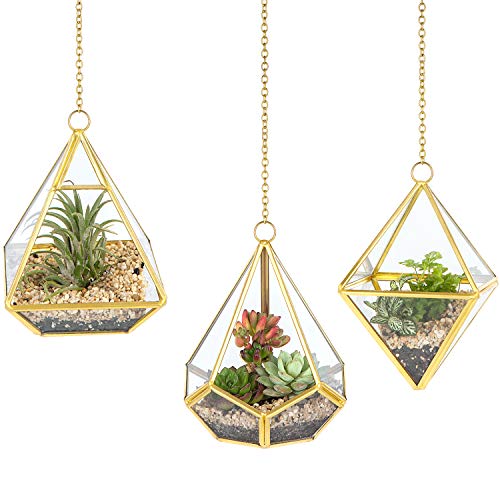 Mkono 3 Pcs Small Hanging Glass Terrarium Geometric Container Vert...
