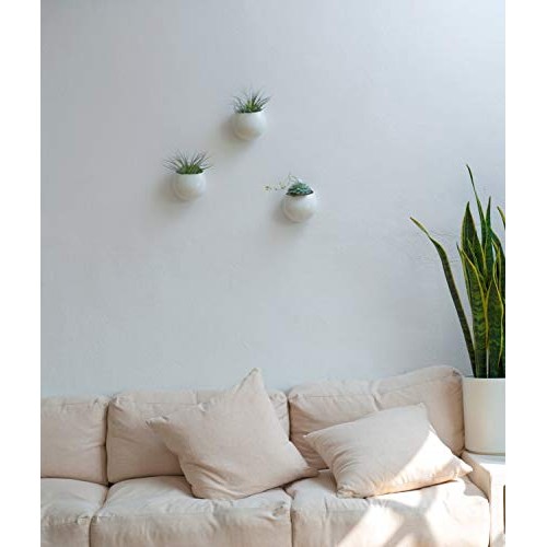 Mkono 4 Inch Wall Mounted Planter Round Ceramic Hanging Plant Hold...