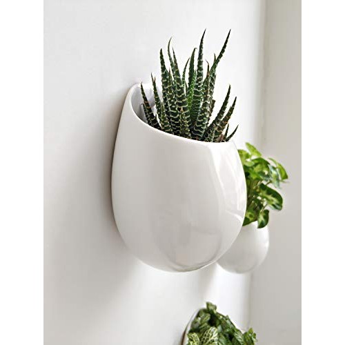 Mkono 4 Inch Wall Mounted Planter Round Ceramic Hanging Plant Hold...