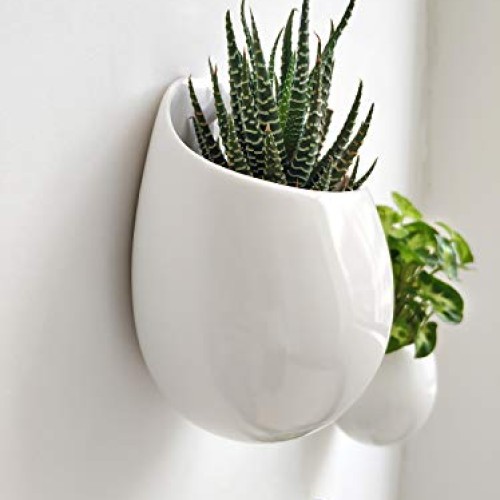 Mkono 4 Inch Wall Mounted Planter Round Ceramic Hanging Plant Hold...