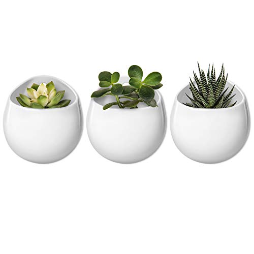 Mkono 4 Inch Wall Mounted Planter Round Ceramic Hanging Plant Hold...