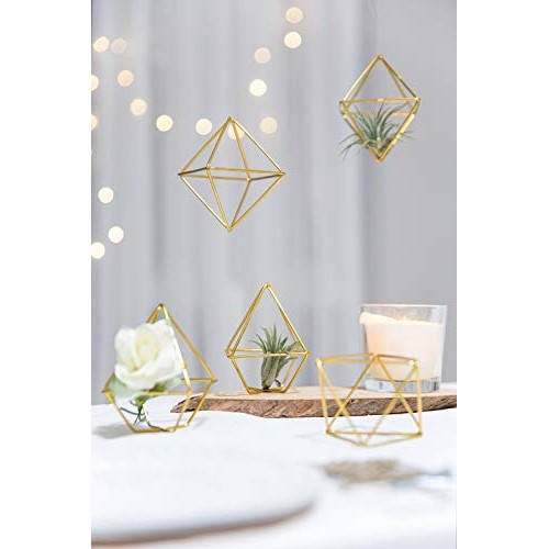 Mkono 5 Pack Air Plant Holder Metal Himmeli Decor in 2 Shapes Mini...