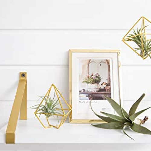 Mkono 5 Pack Air Plant Holder Metal Himmeli Decor in 2 Shapes Mini...