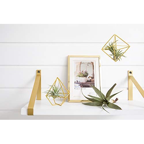 Mkono 5 Pack Air Plant Holder Metal Himmeli Decor in 2 Shapes Mini...