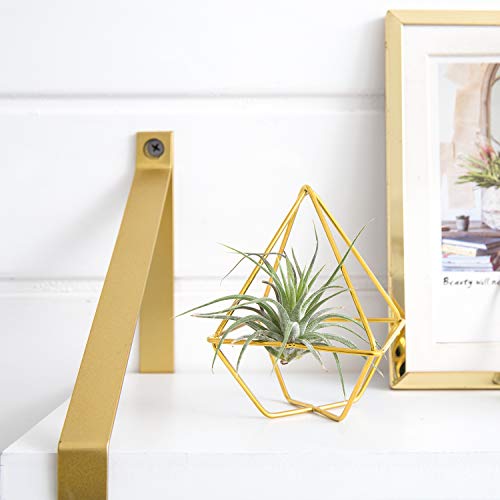 Mkono 5 Pack Air Plant Holder Metal Himmeli Decor in 2 Shapes Mini...