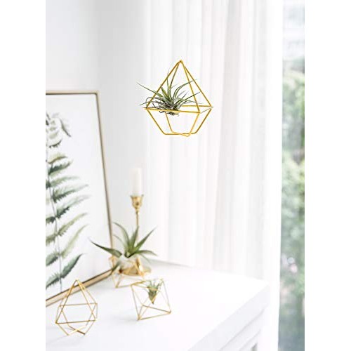 Mkono 5 Pack Air Plant Holder Metal Himmeli Decor in 2 Shapes Mini...