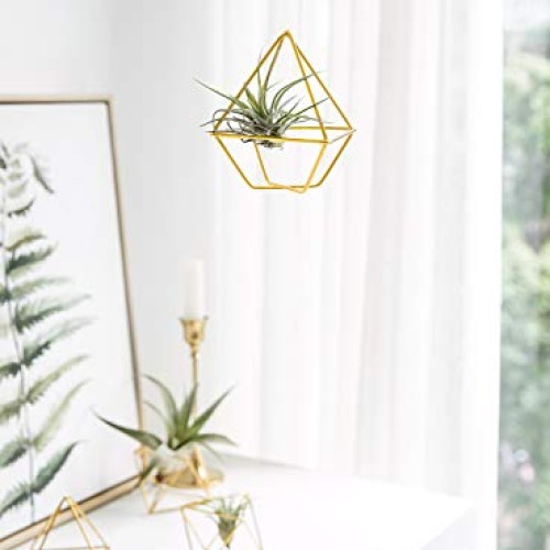 Mkono 5 Pack Air Plant Holder Metal Himmeli Decor in 2 Shapes Mini...