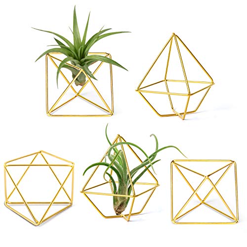 Mkono 5 Pack Air Plant Holder Metal Himmeli Decor in 2 Shapes Mini...