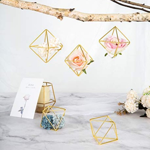 Mkono 5 Packs Air Plant Holder Mini Metal Tabletop Himmeli Decor M...