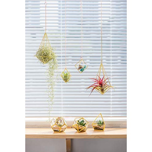 Mkono 5 Packs Air Plant Holder Mini Metal Tabletop Himmeli Decor M...