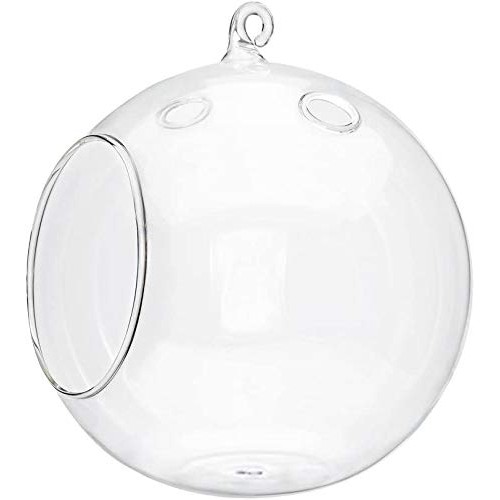 Mkono 6-Inch Hanging Glass Planter Round Air Plant Terrarium Decor...