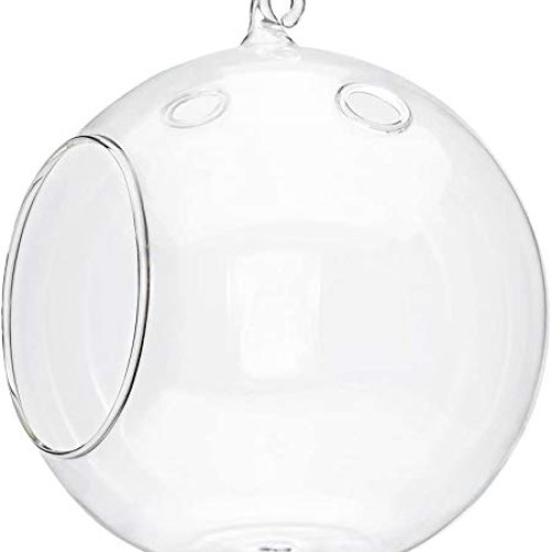 Mkono 6-Inch Hanging Glass Planter Round Air Plant Terrarium Decor...