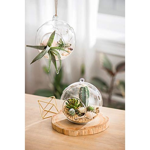 Mkono 6-Inch Hanging Glass Planter Round Air Plant Terrarium Decor...