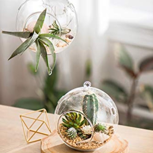 Mkono 6-Inch Hanging Glass Planter Round Air Plant Terrarium Decor...