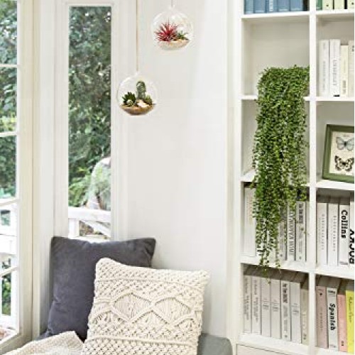 Mkono 6-Inch Hanging Glass Planter Round Air Plant Terrarium Decor...