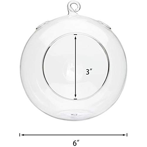 Mkono 6-Inch Hanging Glass Planter Round Air Plant Terrarium Decor...