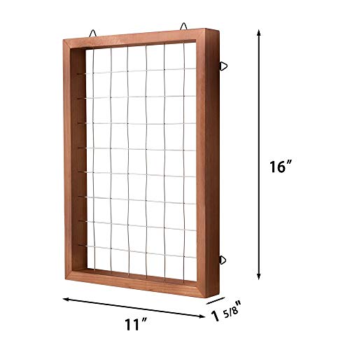 Mkono Large Air Plant Frame Hanging Airplant Holder Tillandsia Dis...