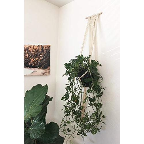 Mkono Macrame Plant Hangers Set of 4 Indoor Wall Hanging Planter B...