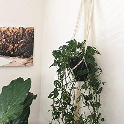 Mkono Macrame Plant Hangers Set of 4 Indoor Wall Hanging Planter B...
