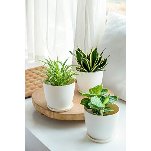 Mkono Macrame Plant Hangers with Pots Plastic Planters Included ...