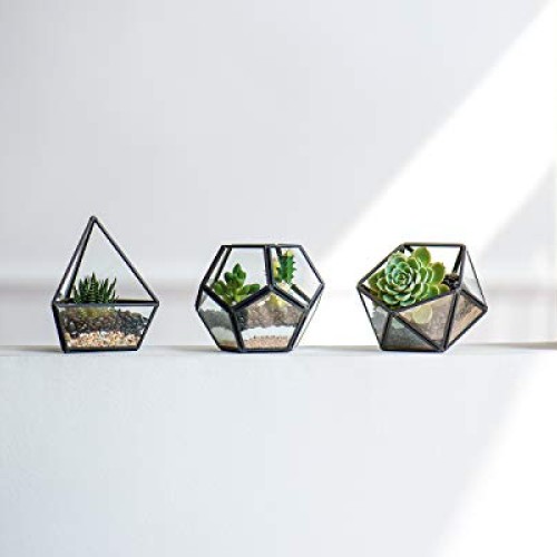 Mkono Mini Glass Geometric Terrarium Container Set of 3 Modern Tab...