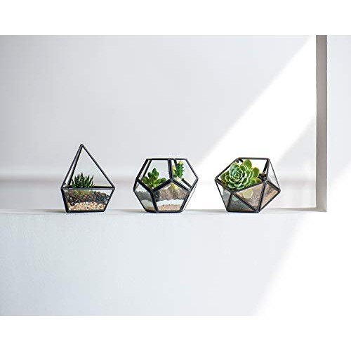 Mkono Mini Glass Geometric Terrarium Container Set of 3 Modern Tab...