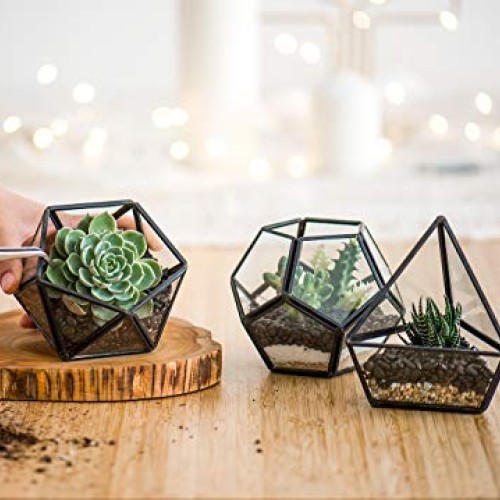 Mkono Mini Glass Geometric Terrarium Container Set of 3 Modern Tab...