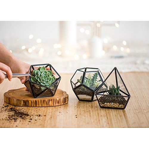 Mkono Mini Glass Geometric Terrarium Container Set of 3 Modern Tab...